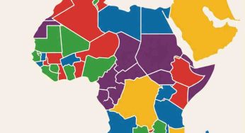 Trans Africa: Terobosan Digitalisasi Logistik Perdagangan